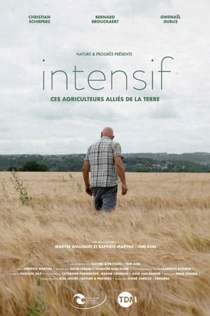 Intensif