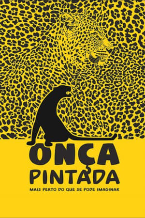 Onça Pintada - Mais Perto Do Que Se Pode Imaginar