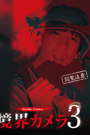 境界カメラ3