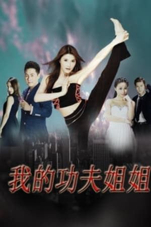 我的功夫姐姐