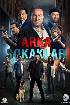Arka Sokaklar第14季
