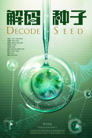 解码种子