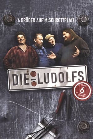 Die Ludolfs – 4 Brüder auf'm Schrottplatz第6季