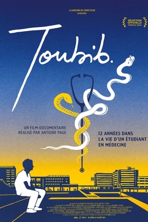 Toubib