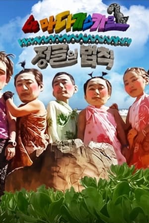 金炳万的丛林法则第 4 季