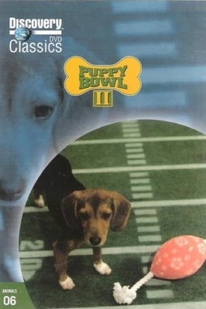 Puppy Bowl第2季