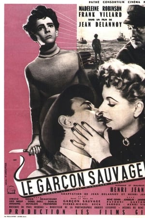 Le Garçon sauvage