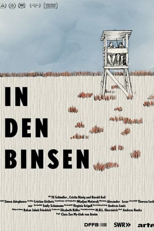 In den Binsen