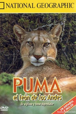 Puma: Lion of the Andes