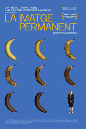 La imatge permanent