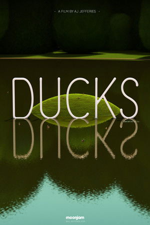 DUCKS