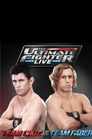 The Ultimate Fighter第15季