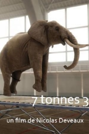 7 Tonnes 2