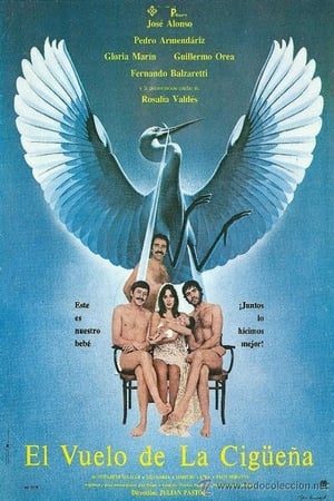 El Vuelo de la Cigüeña