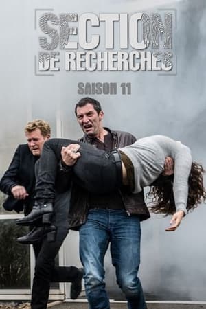 Section de recherches第11季