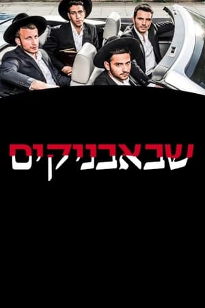 שבאבניקים第2季