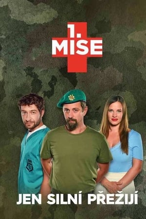 1. MISE