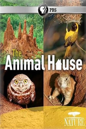 The Animal House