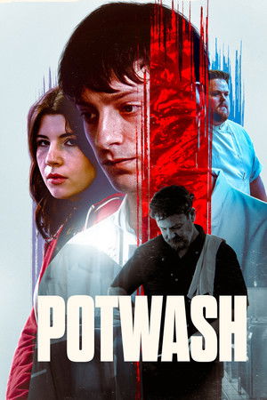 Potwash