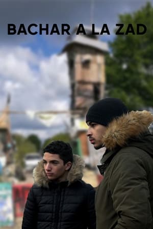 Bachar à la Zad