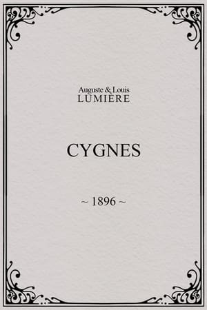 Cygnes