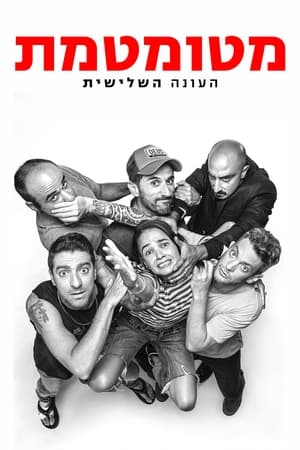 מטומטמת第3季