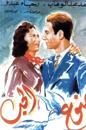 ممنوع الحب