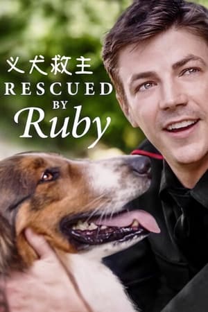 义犬救主
