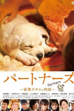 陪伴