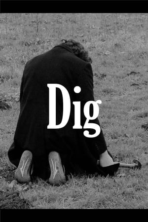 Dig