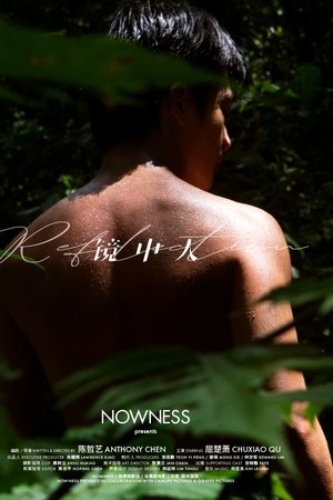 镜中人