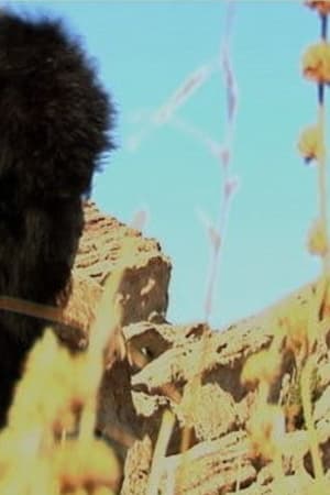 90 000 B.C: A Gorilla Odyssey