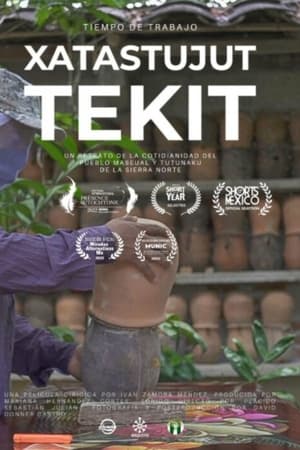 Xatastujut Tekit: Tiempo De Trabajo