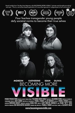 Becoming More Visible