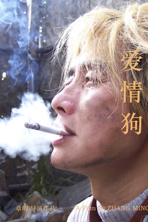 爱情狗