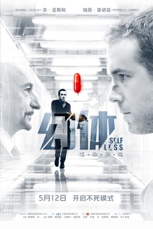 伊莎贝拉的夏天