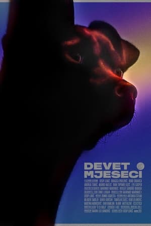 Devet mjeseci
