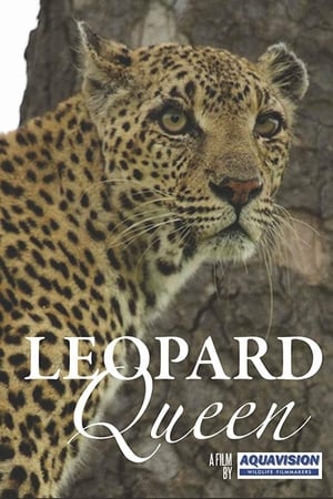 Leopard Queen