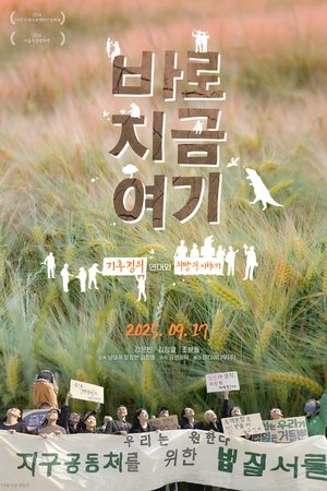 바로 지금 여기