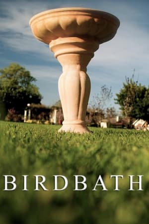 Birdbath