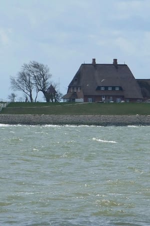 Die Halligen im Wattenmeer