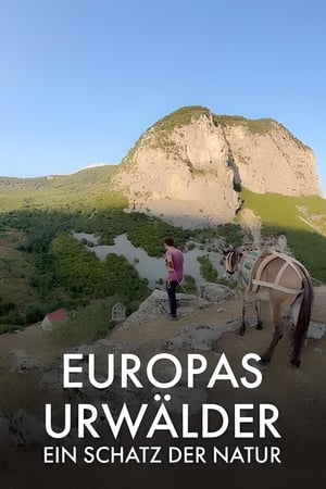 Europas Urwälder, ein Schatz der Natur
