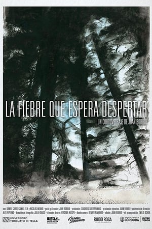 La fiebre que espera despertar