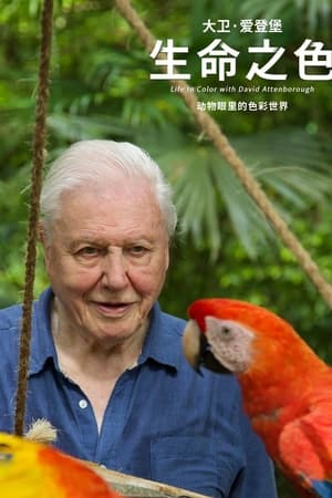 生命之色