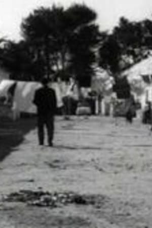 Brindisi '65