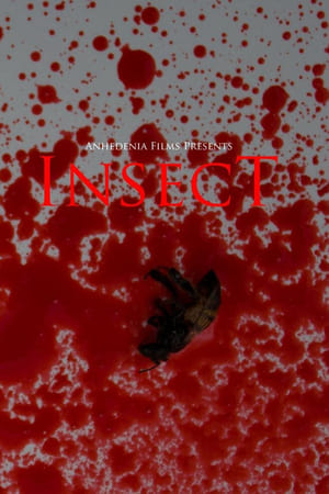 Insect