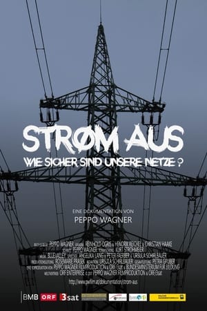 Strom aus - Wie sicher sind unsere Netze?