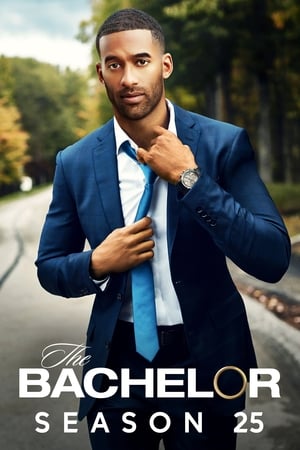 The Bachelor第25季