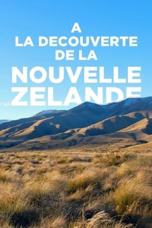 Neuseeland - Gletscher, Vulkane und Kiwis