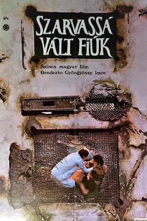 Szarvassá vált fiúk